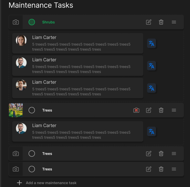 Multilingual Team Communication
